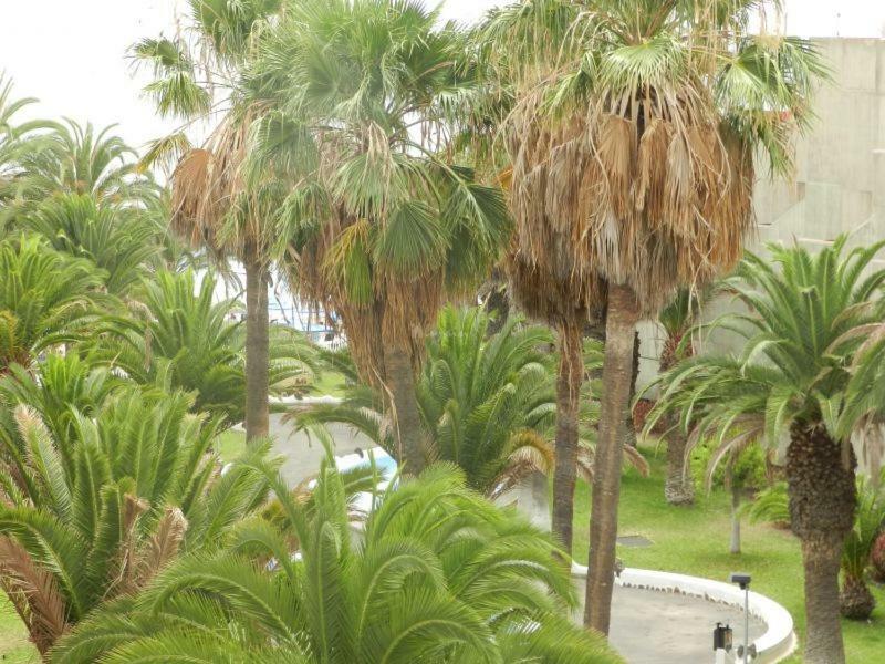 Beach-Front Tenerife Sth Sea And Pool View Costa Del Silencio Exterior foto